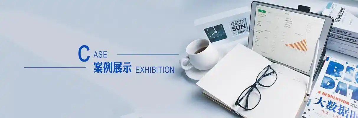 隆化县软件开发